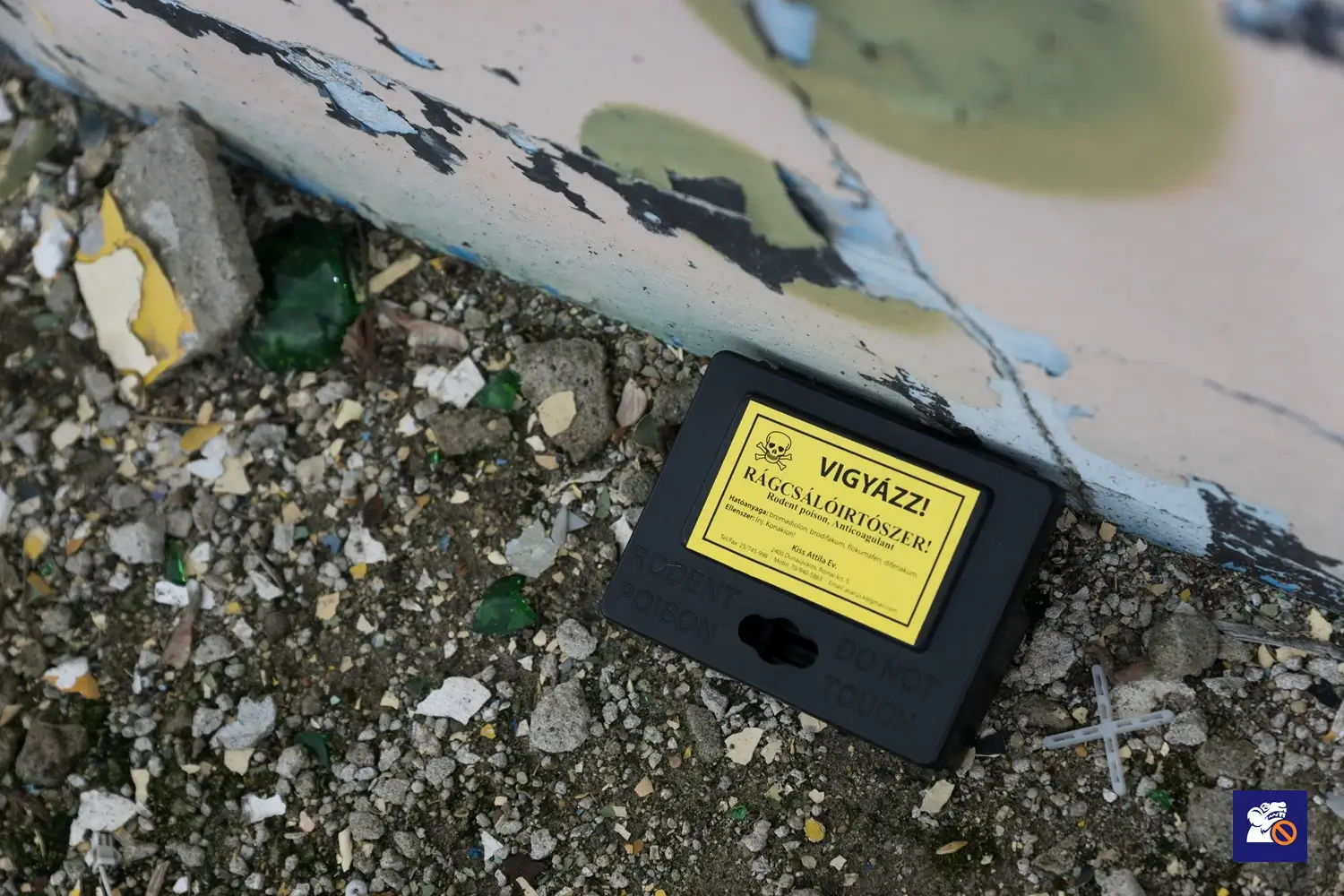 Kültéren a fal mellett egy figyelmeztető felirattal ellátott egérirtó doboz.